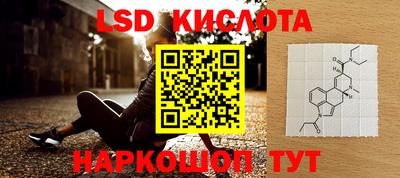 PSILOCYBIN Ирбит