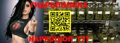 PSILOCYBIN Ирбит