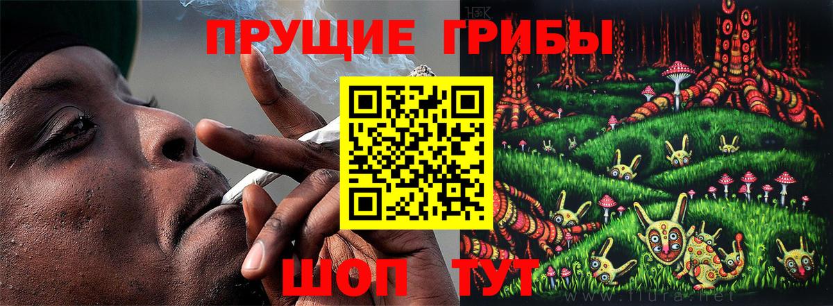 Галлюциногенные грибы GOLDEN TEACHER Набережные Челны