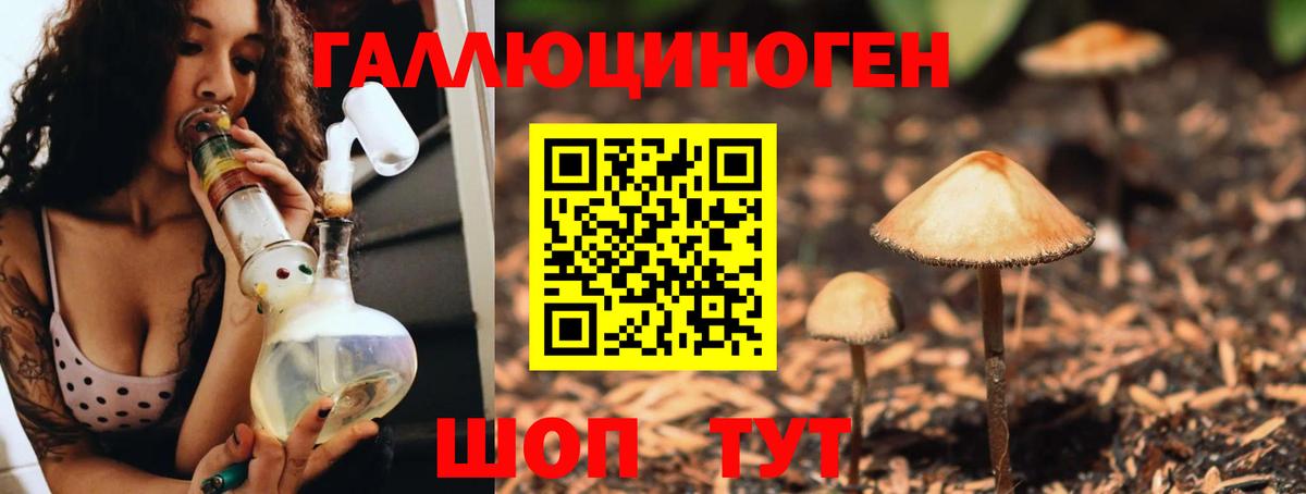 Псилоцибиновые грибы Cubensis  закладка  Набережные Челны  Вход с VPN 